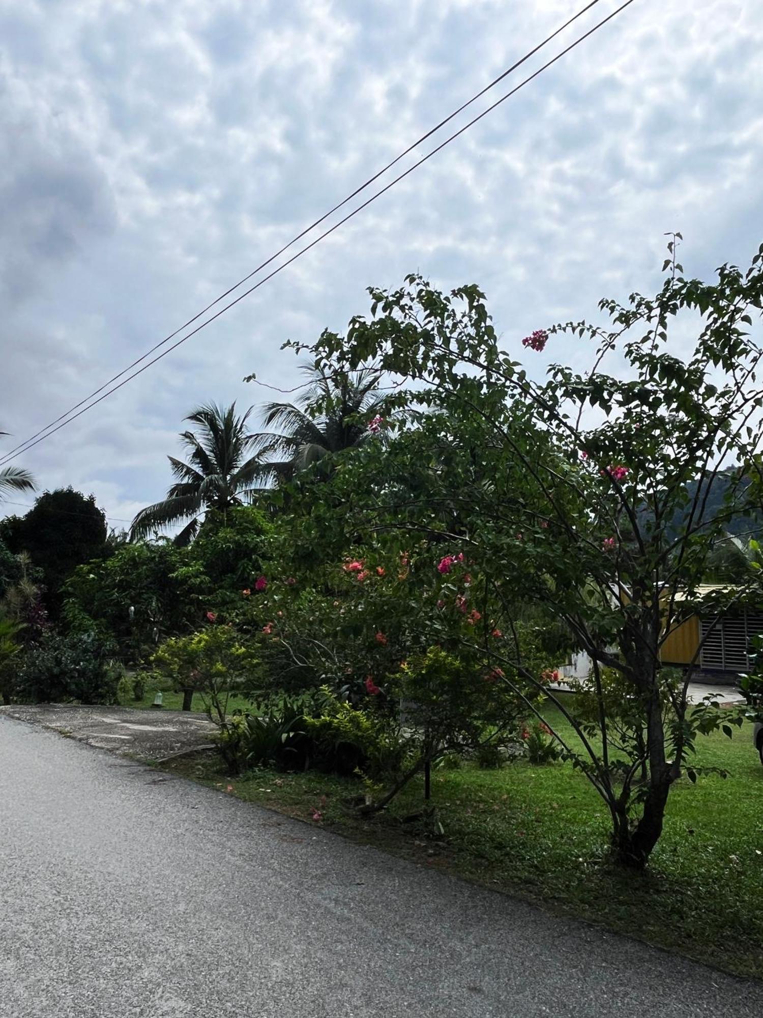 Purple Cube At Lumut Cube Homestay Kontena Exterior foto